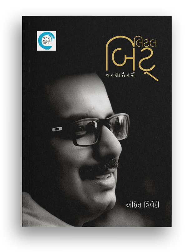 લિટલ બિટ્